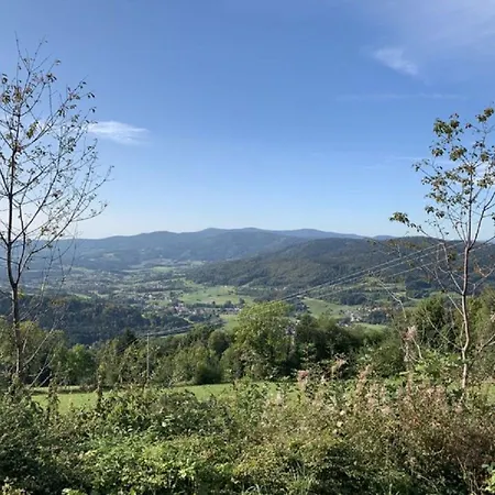 Bayerischer Wald Auf 800m Hoehe-willkommen By Interhome Apartment *