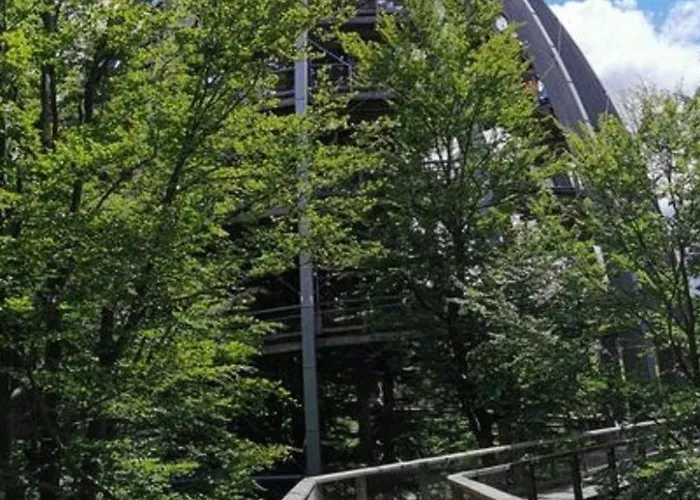 Bayerischer Wald Auf 800m Hoehe-willkommen By Interhome * Langfurth